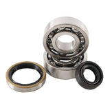 Main Bearing and Seal Kit