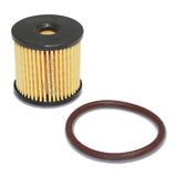 Quantum In-Tank EFI Fuel Pump with Tank Seal, Filter & Strainer
