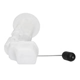 Quantum In-Tank EFI OEM Replacement Fuel Pump with Assembly