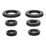 Oil Seal Kit 822391