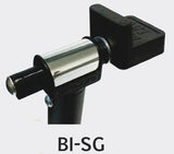 bi-sg
