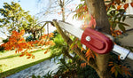 Honda VersaTool Pruner Attachment